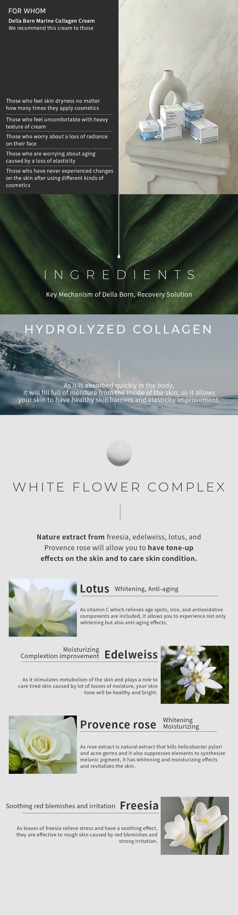 Korea Della Born Marine Collagen Cream 50ml - Dope Women's Clothing 