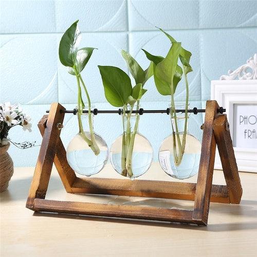 files/Glass-and-Wood-Vase-Planter-Terrarium-Table-Desktop-Hydroponics-Plant-Bonsai-Flower-Pot-Hanging-Pots-with.jpg_640x640_448ad4d4-342d-4b2f-a59c-a329c7be89d5.jpg